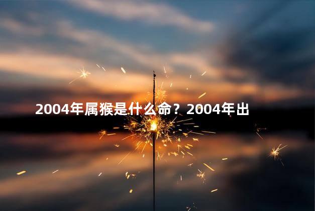 2004年属猴是什么命？2004年出生的人属猴,命运如何？