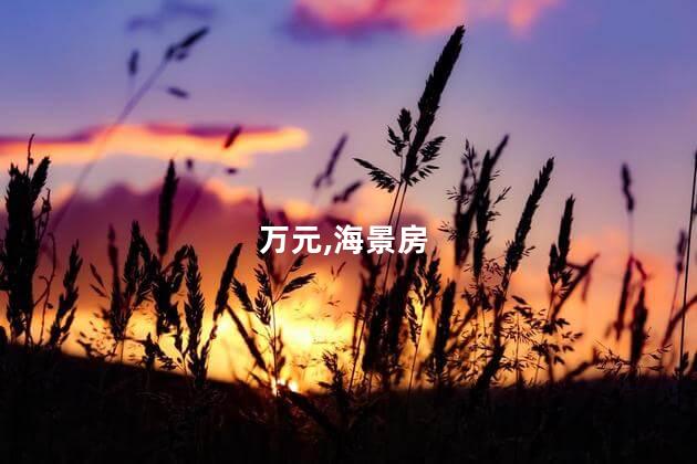 万元,海景房