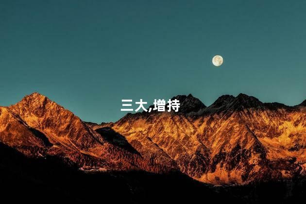 三大,增持