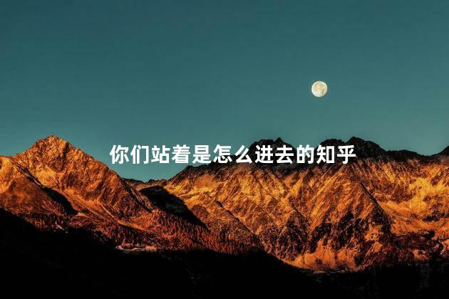 你们站着是怎么进去的知乎