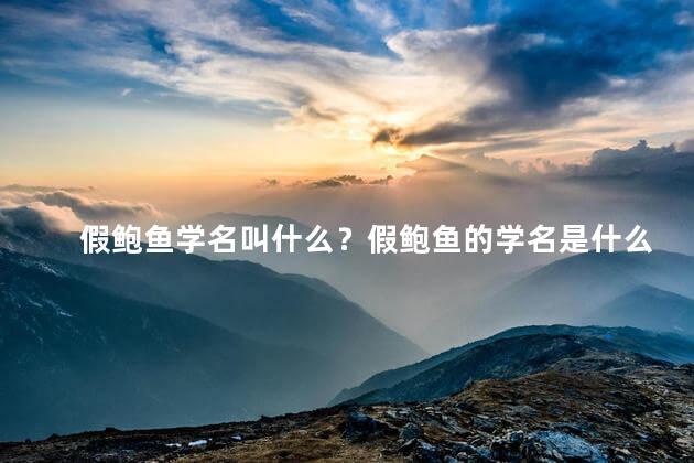 假鲍鱼学名叫什么？假鲍鱼的学名是什么？