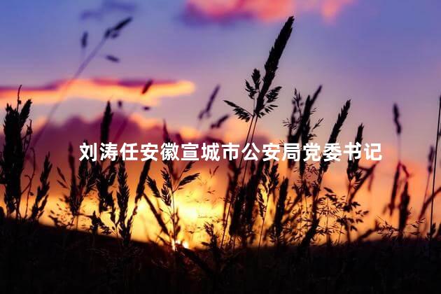 刘涛任安徽宣城市公安局党委书记
