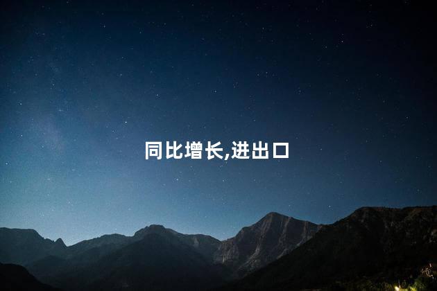 同比增长,进出口