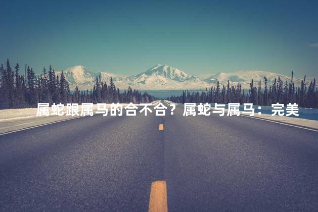 属蛇跟属马的合不合？属蛇与属马：完美的组合或相互克制？