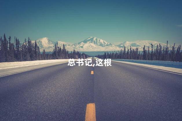 总书记,这根