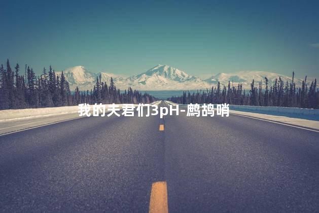 我的夫君们3pH-鹧鸪哨