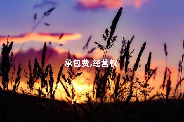 承包费,经营权