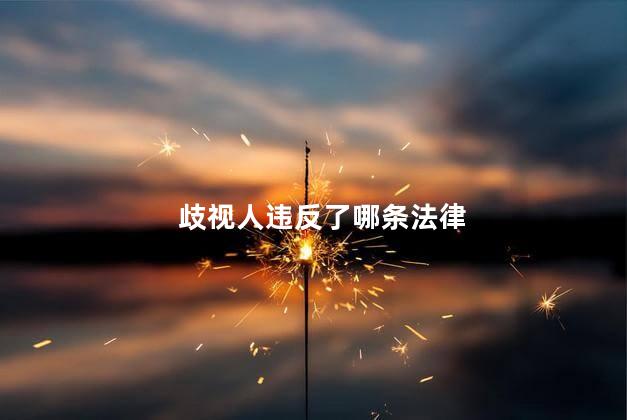歧视人违反了哪条法律