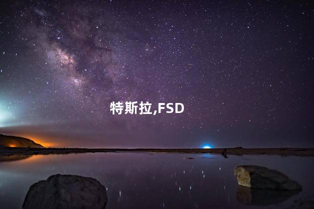 特斯拉,FSD