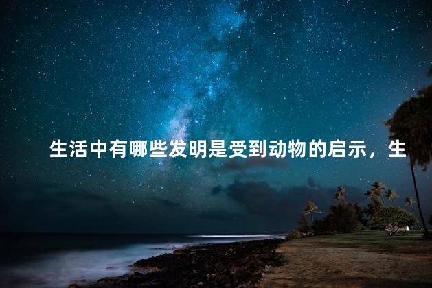 生活中有哪些发明是受到动物的启示，生活中什么发明是受到动物的启示