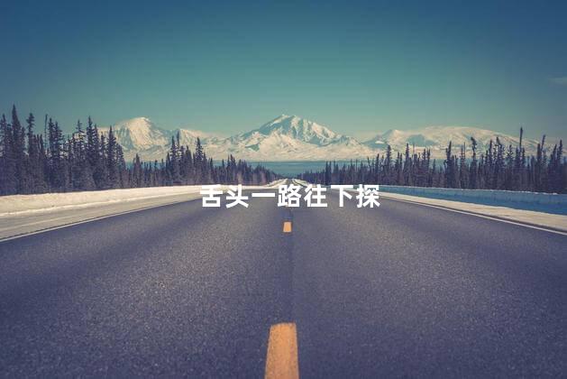 舌头一路往下探