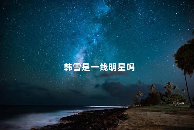 韩雪是一线明星吗