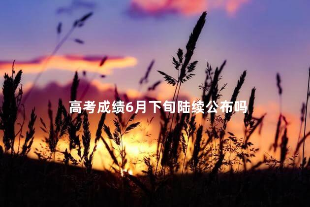 高考成绩6月下旬陆续公布吗